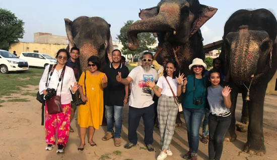 Elephant Village Jaipur