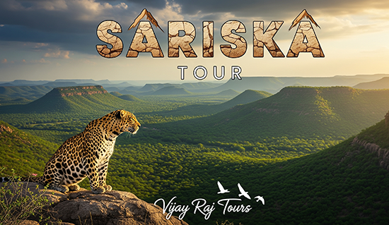 Sariska Tour